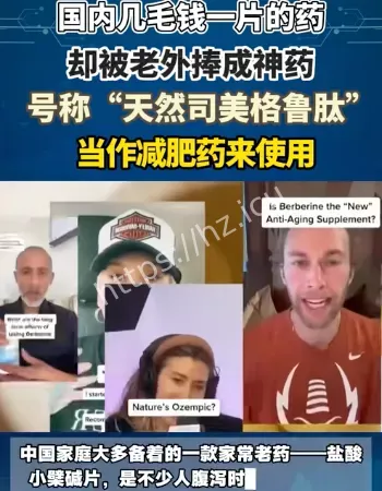 小檗碱海外走红